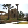 03 Caesarea Ruins with Palm Trees.jpg